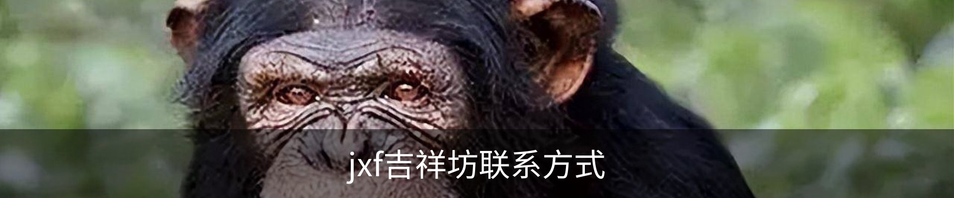 jxf吉祥坊联系方式